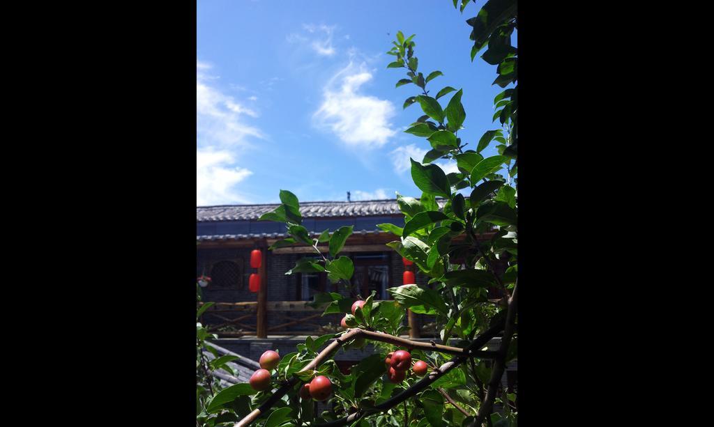 Lazy Tiger Inn Lijiang  Bagian luar foto