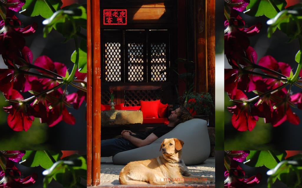 Lazy Tiger Inn Lijiang  Bagian luar foto