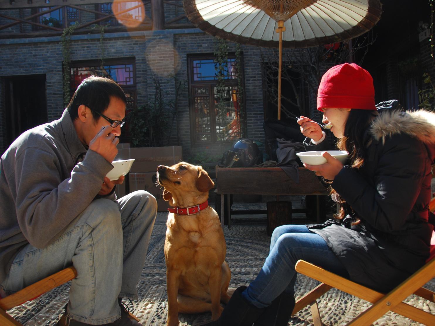 Lazy Tiger Inn Lijiang  Bagian luar foto