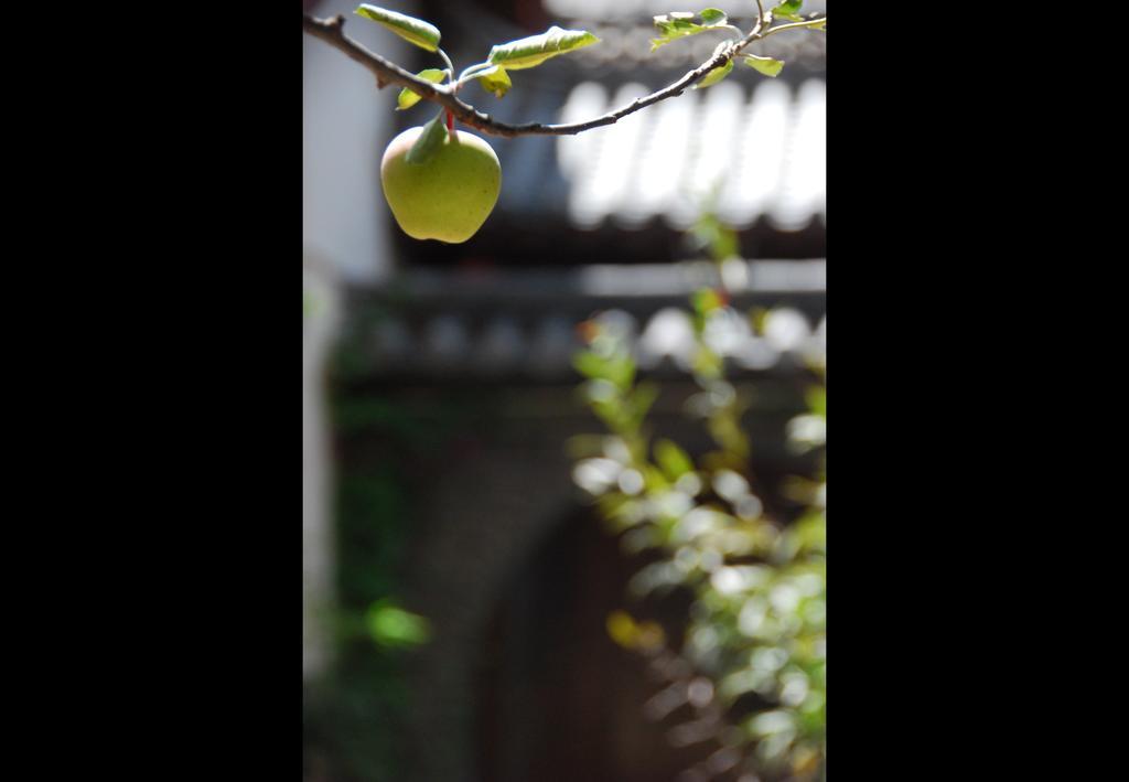 Lazy Tiger Inn Lijiang  Bagian luar foto