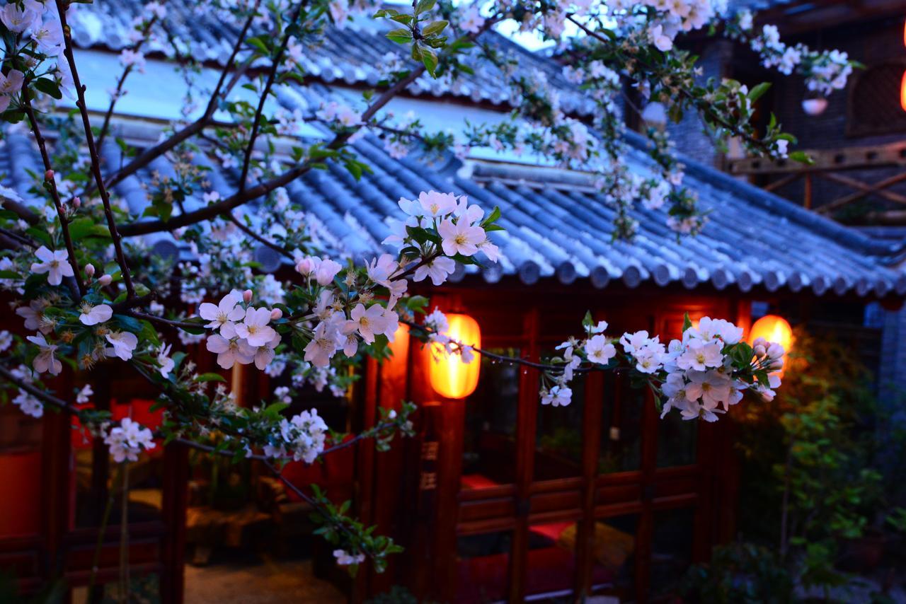 Lazy Tiger Inn Lijiang  Bagian luar foto